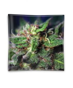 Glass ash tray mix design